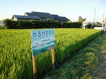 CIMG8039