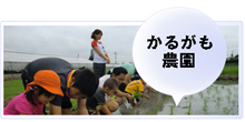 かるがも農園